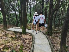 -火炉山森林公园