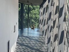 -知美术馆