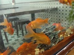 -万达广场(桂林高新店)