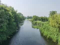 -黄海国家森林公园