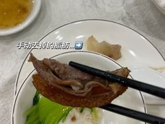 -姚林轩