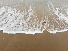 -宝发园名菜馆