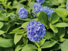 -常州古运河南大街文化旅游区-人民公园