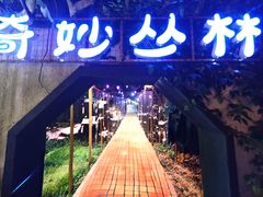 -广西壮族自治区药用植物园