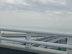 -演武大桥观景平台