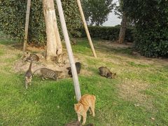 -云龙湖旅游景区