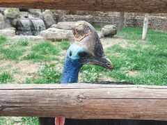 -北京野生动物园