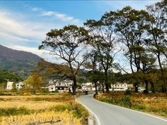 -塔川景区