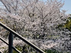 -IKEA宜家家居(南京商场)