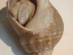 -松子料理(白家庄店)
