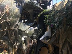-疯狂屋