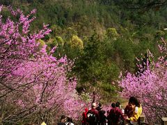 -天台山赤城山景区