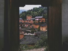 -杨家堂村