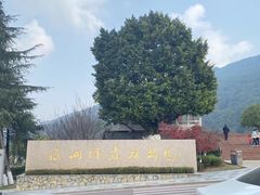 -铁山坪森林公园