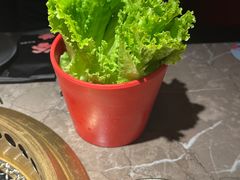 -谷牛日式烤肉(宝山U天地店)