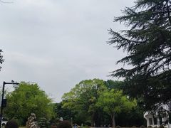 -东湖落雁景区