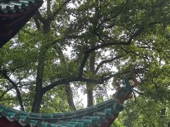 -岳麓山风景名胜区