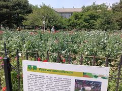 -国家植物园南园