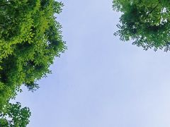 -东钱湖小普陀景区
