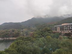 -逸廊大堂吧-下午茶·简餐-千岛湖自由洲际殿