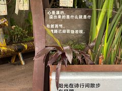 -橡皮书店(翠湖北路店)