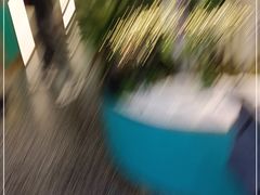 -江南鱼捞(北仑银泰城店)
