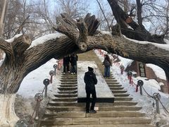 -水磨沟公园