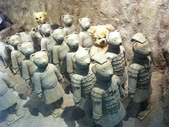 泰迪熊博物馆-济州岛泰迪熊博物馆