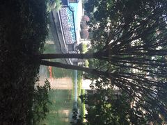星河湾酒店(浦东店)-上海浦东星河湾酒店