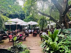 -Fern Forest Cafe