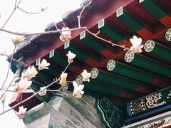 -迎泽公园