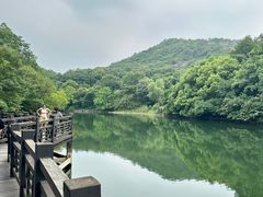 -白马涧龙池景区