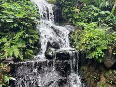 -海口火山口国家地质公园