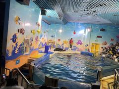 -太平洋海底世界