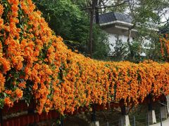 -桃花涧