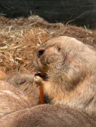 点击看大图 -Zoolung Zoolung动物主题公园(海信广场店)