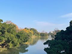 -江心屿景区