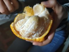 -百果园(三条巷店)