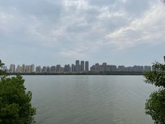 -艾溪湖湿地公园