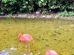 -云南野生动物园
