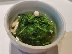 -西郊5号·Maggie 5