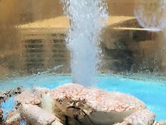 -顺峰(农展馆店)