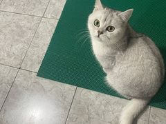 -宠福鑫康馨动物医院·骨科·眼科