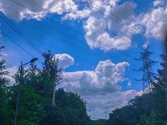 -好灶头妈妈菜·千岛湖柴火鱼餐厅(桐庐店)