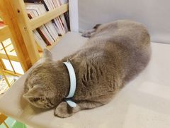 -小时光咖啡馆(开森度假森林店)