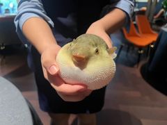 -肆月河豚·淮扬菜·湘菜(华天店)