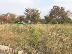 -鹅湖玫瑰文化园