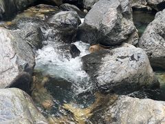 -石台牯牛降景区