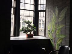 -三号黄浦会Canton Table