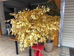 -鑫悦楼煎蟹·16年海鲜大排档